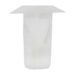 BOLSA DE CLIPS DE 60 PCS PARA 52897 OE:7703081184