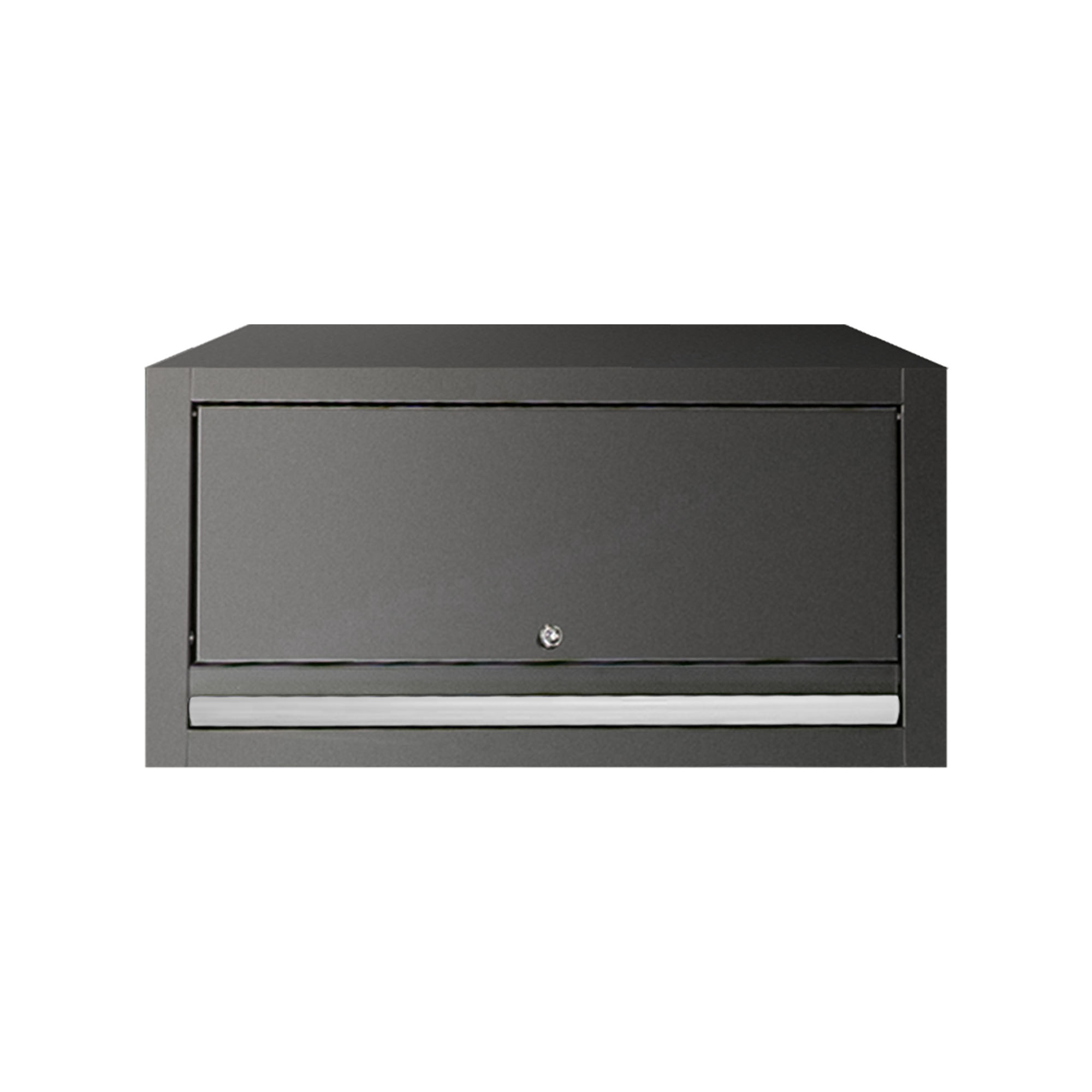 ARMARIO DE PARED - PLATA